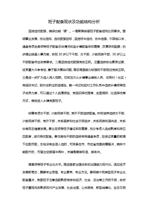 班子配备现状及功能结构分析