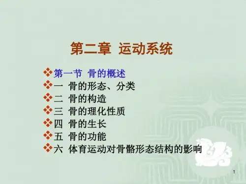 骨概述