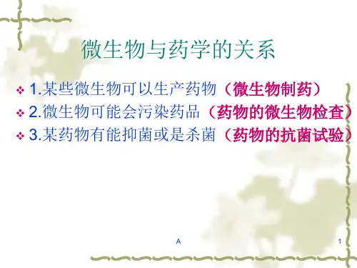 药物的体外抗菌试验