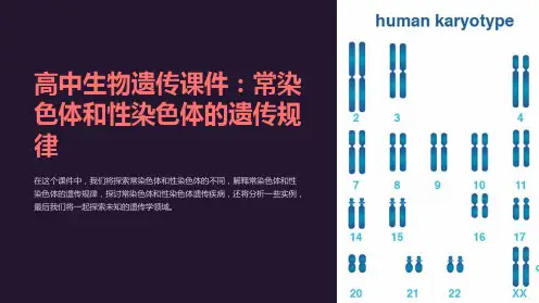 高中生物遗传课件：常染色体和性染色体的遗传规律