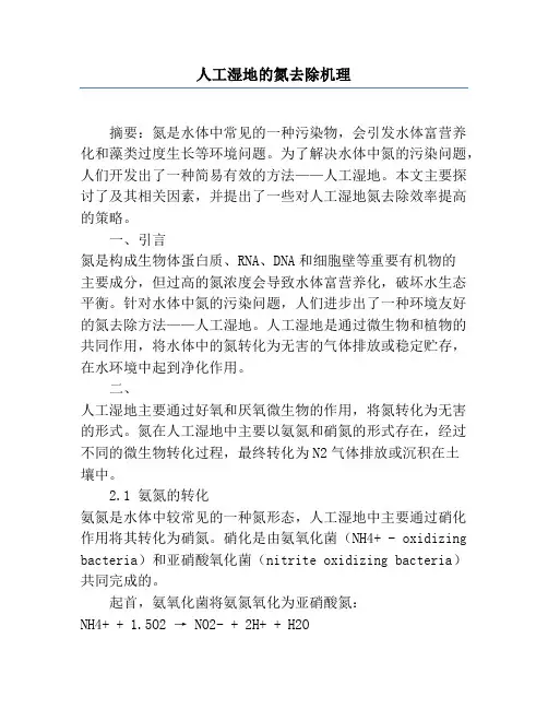 人工湿地的氮去除机理