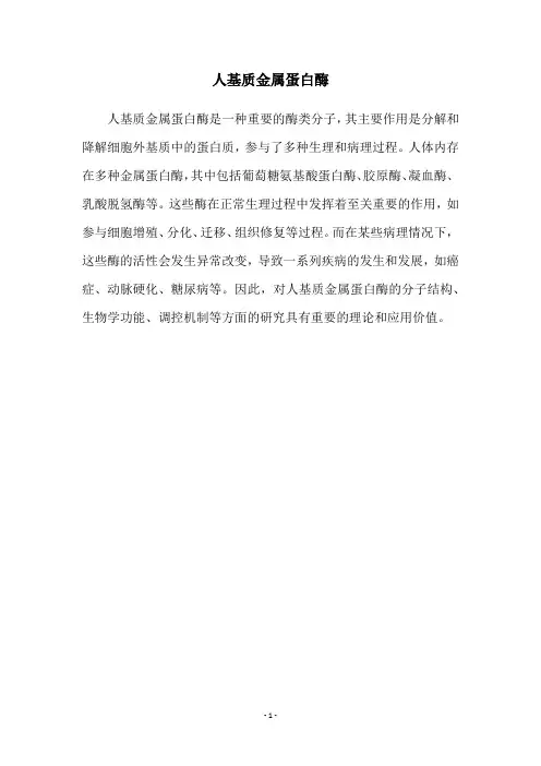 人基质金属蛋白酶