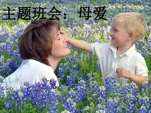 《母爱》精美PPT课件