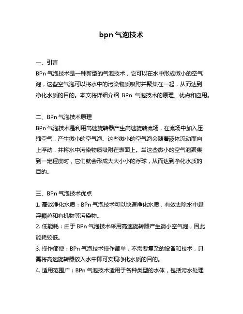 bpn气泡技术