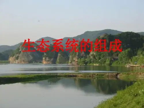 济南版八下第六单元第二章生态系统的组成课件(共计20张PPT)