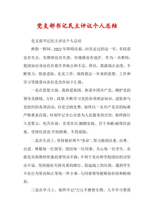 党支部书记民主评议个人总结