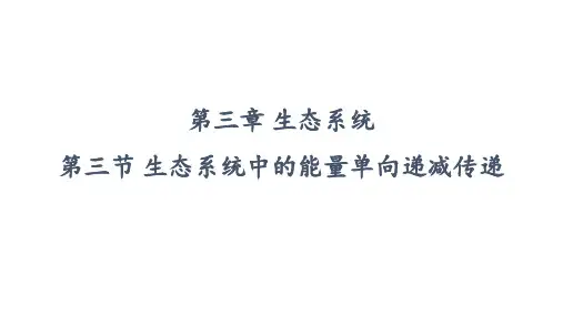 生态系统中的能量单向逐级递减流动