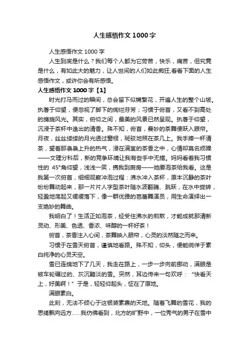 人生感悟作文1000字