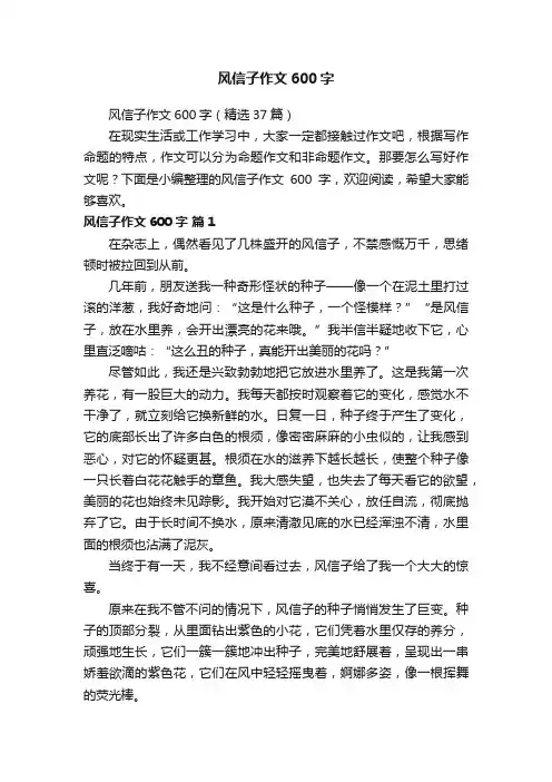 风信子作文600字