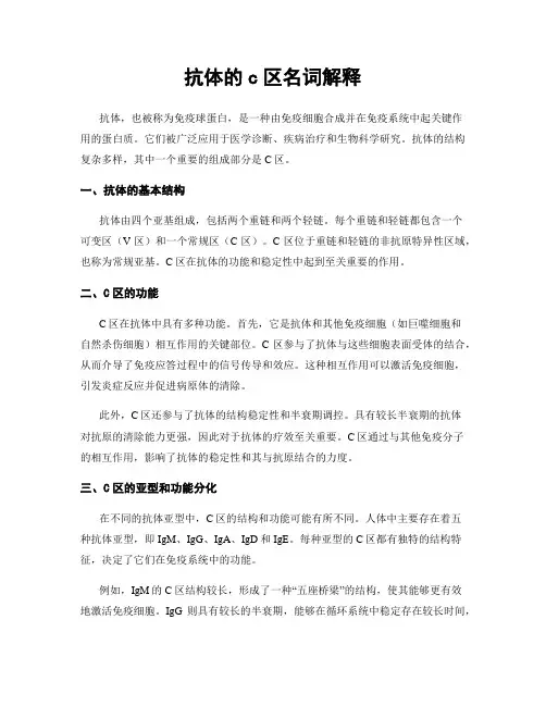 抗体的c区名词解释