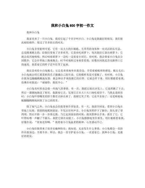 我和小白兔600字初一作文