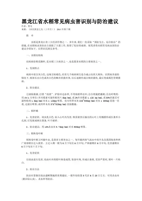 黑龙江省水稻常见病虫害识别与防治建议