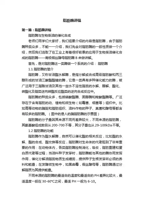 脂肪酶讲稿