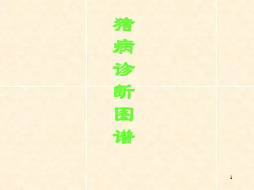 猪病诊断图谱002