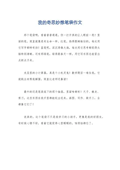 我的奇思妙想笔袋作文