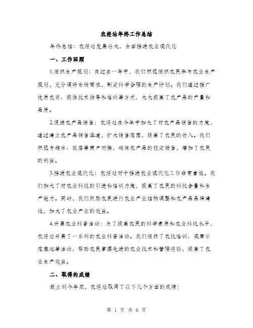 农经站年终工作总结（二篇）