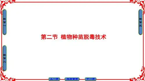 高中生物第5章植物的组织培养技术第2节植物种苗脱毒技术课件中图版选修1030444