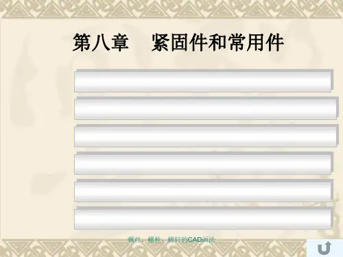 螺丝螺栓螺钉的CAD画法课件