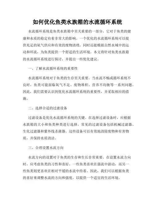 如何优化鱼类水族箱的水流循环系统