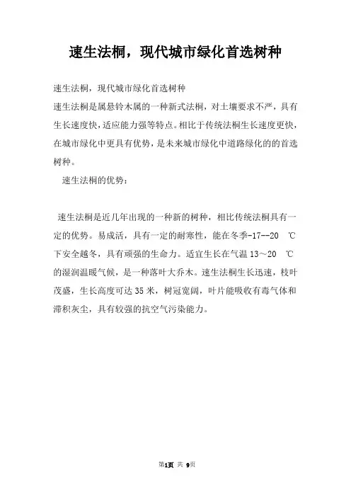 速生法桐,现代城市绿化首选树种