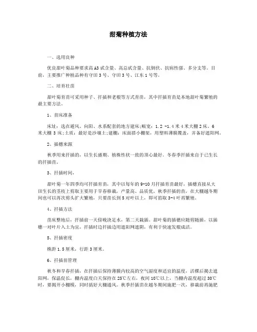 甜菊种植方法