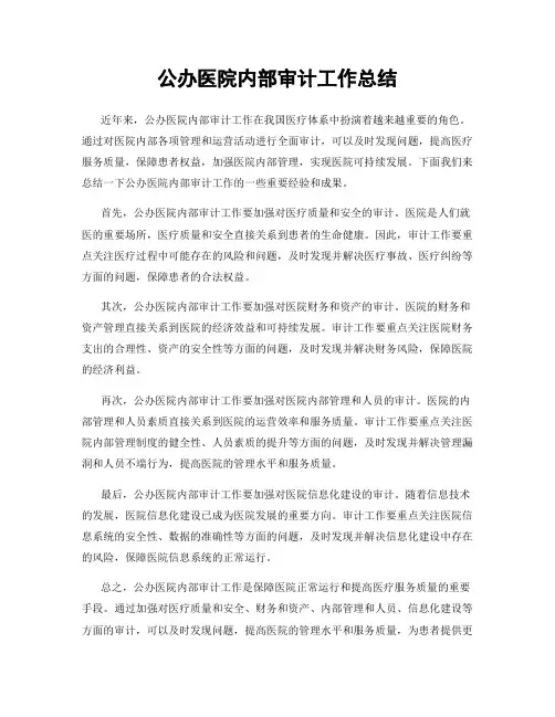 公办医院内部审计工作总结