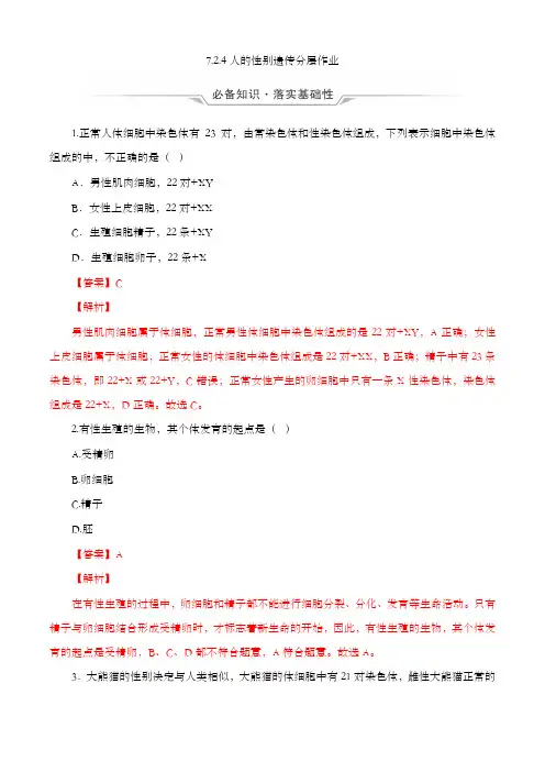 7.2.4 人的性别遗传(分层作业) 八年级下册生物同步备课系列(人教版)(解析版)