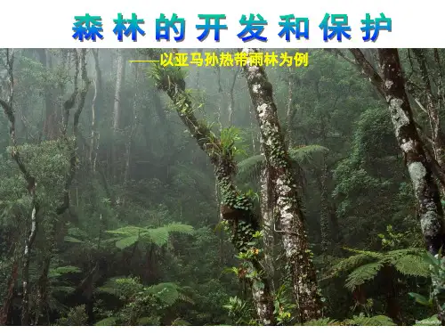 高中地理丨必修三2.2森林的开发与保护