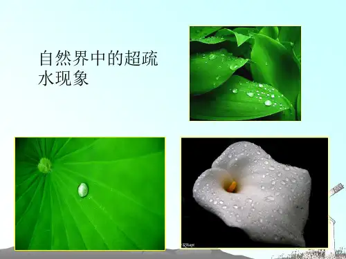 超疏水材料介绍
