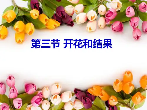 人教版初中生物七上3.2.3 开花和结果 PPT优质课件 (37张)ppt