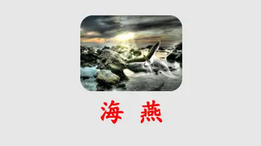 第4课《海燕》课件(共28张PPT)    部编版语文九年级下册