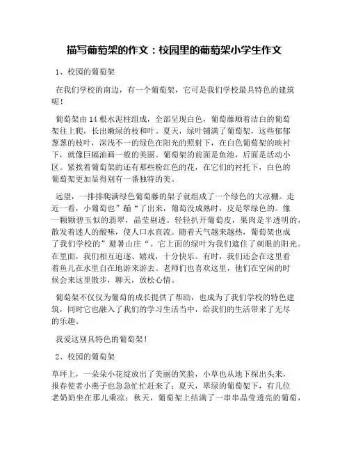 描写葡萄架的作文：校园里的葡萄架小学生作文