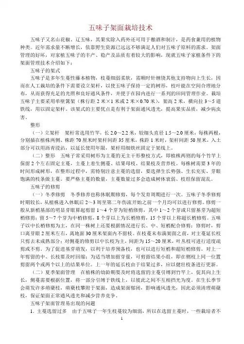 五味子架面栽培技术