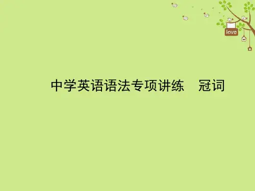 2021年中考英语总复习语法一冠词课件