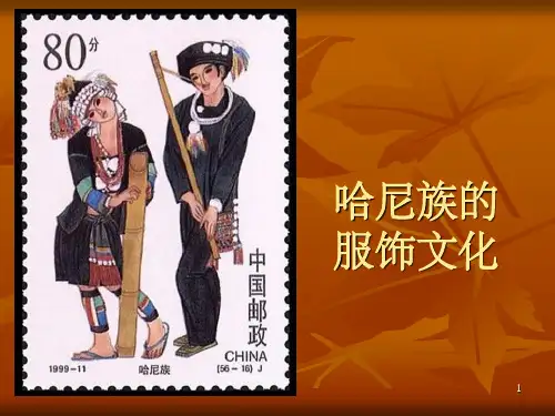 《哈尼族服饰》PPT课件