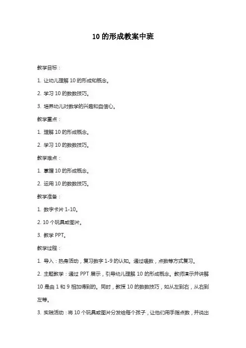 10的形成教案中班