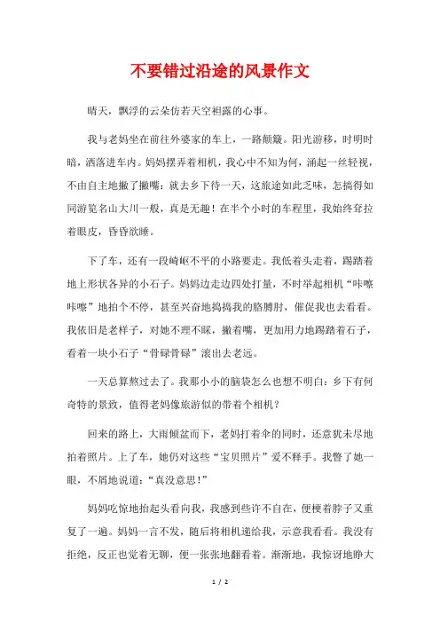停下脚步看看沿途的风景的作文