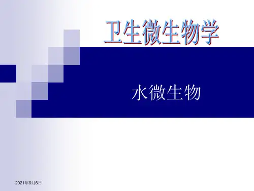 卫生微生物学课件-水微生物