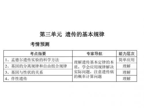 高一生物遗传的基本规律(中学课件201908)
