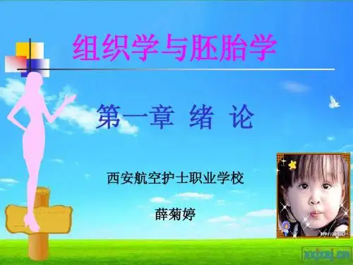 组胚第一章绪论课件