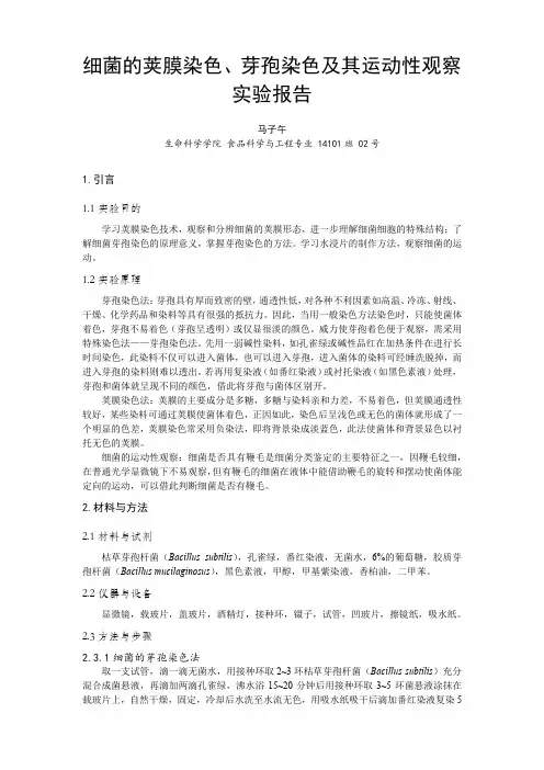 实验报告2-细菌的荚膜染色、芽孢染色及其运动性观察实验报告