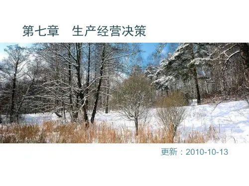 生产经营决策 管理会计课件