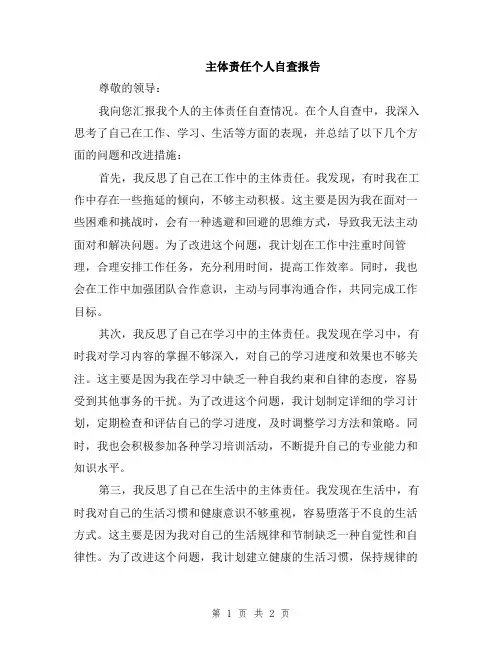 主体责任个人自查报告