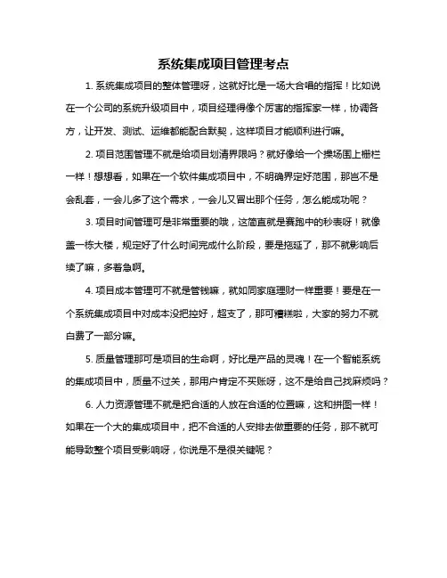 系统集成项目管理考点