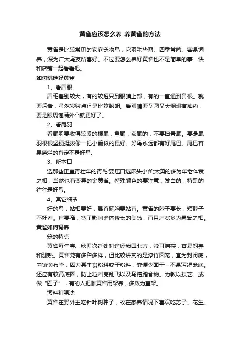 黄雀应该怎么养_养黄雀的方法
