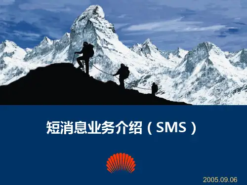 SMS短信业务及测试介绍 ppt课件