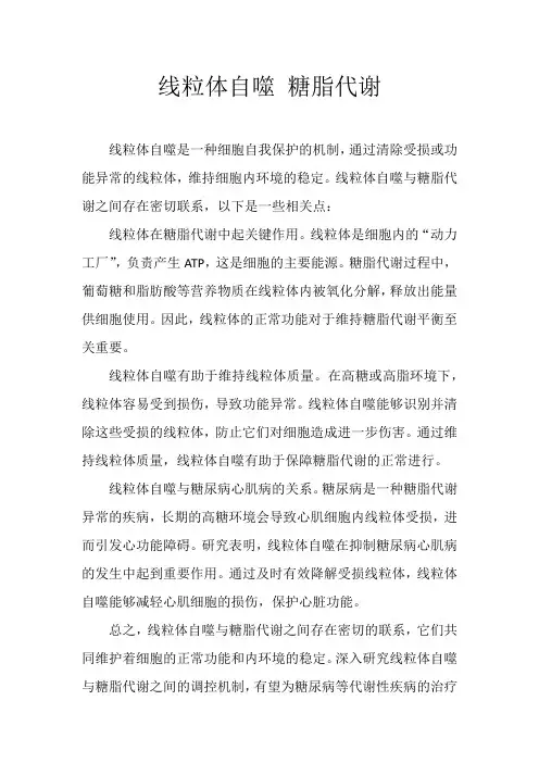 线粒体自噬 糖脂代谢