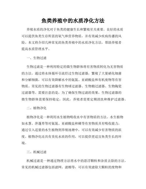 鱼类养殖中的水质净化方法