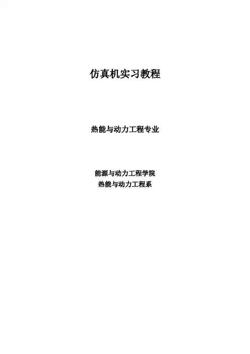 300mw仿真机操作规程