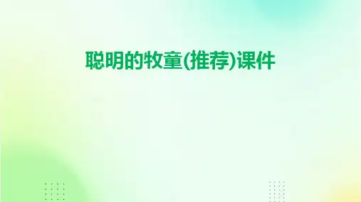 聪明的牧童(推荐)课件